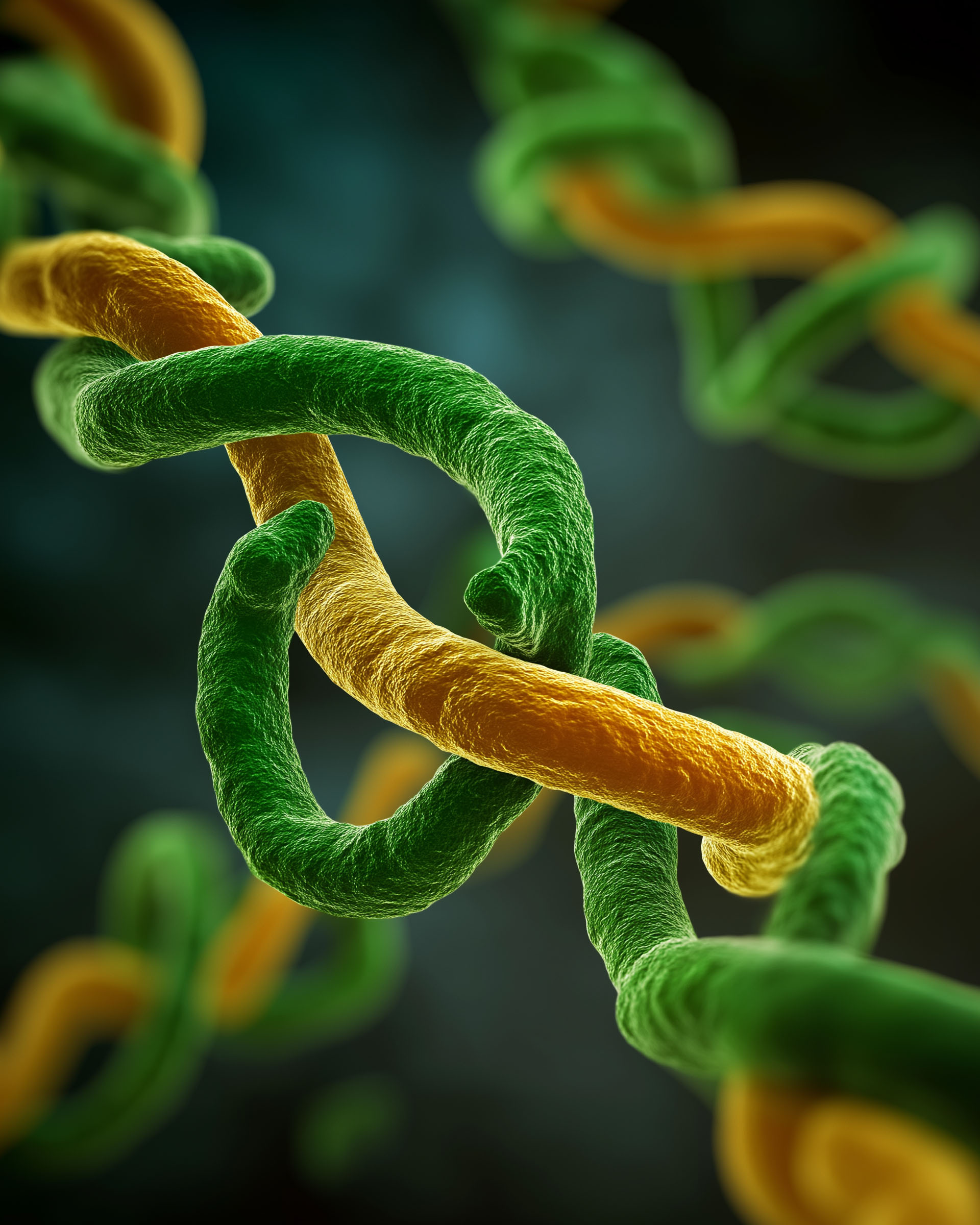 Bacillus cereus bacteria illness symptom. Toxin heat. Molecular diagram of Bacillus heat-stable toxin illustration